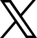 公式X